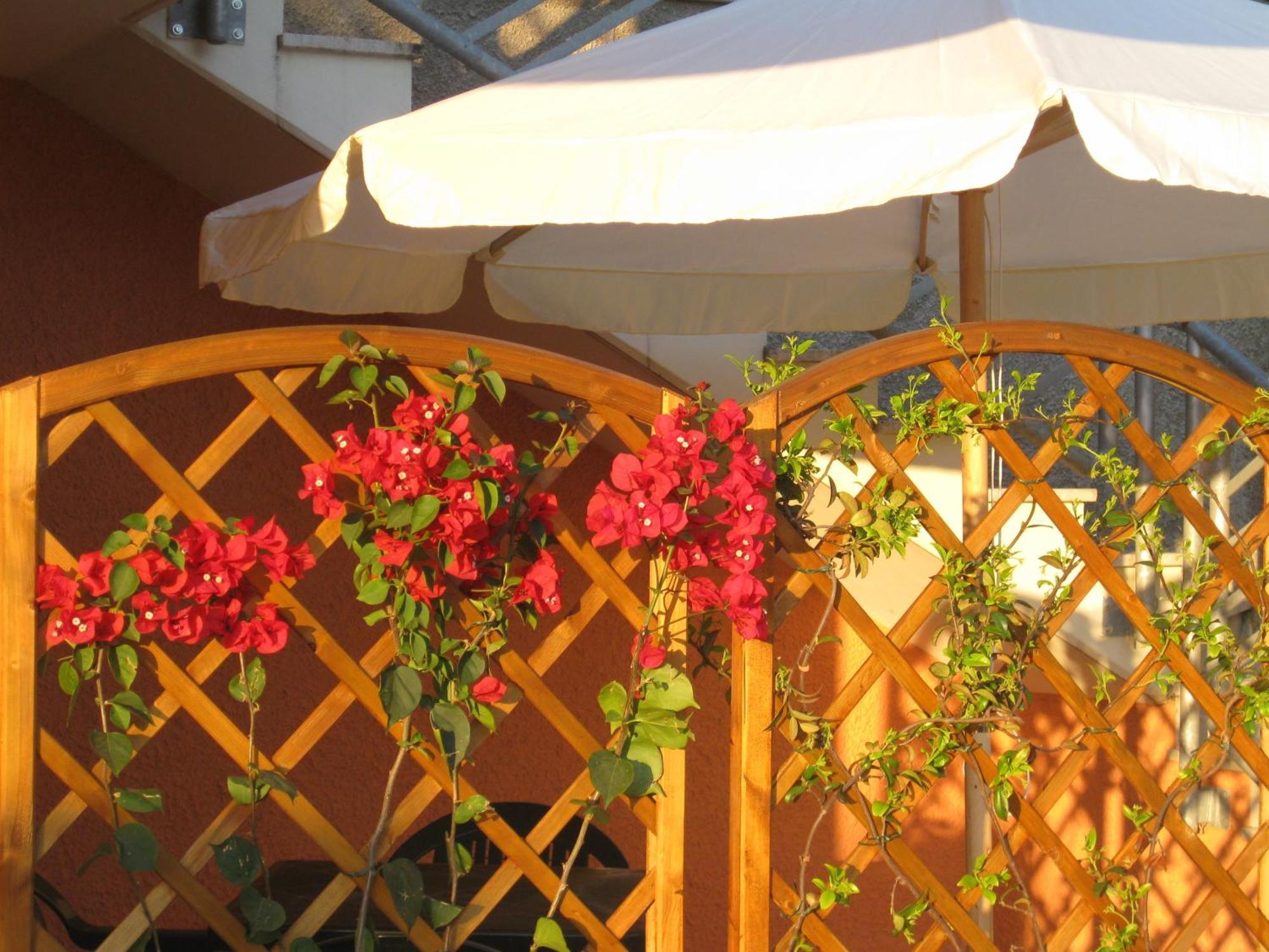 A Due Passi Dal Mare B&B Numana Exterior foto