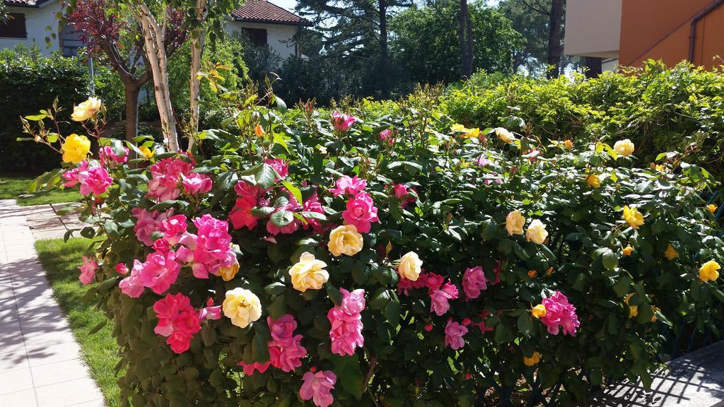 A Due Passi Dal Mare B&B Numana Exterior foto